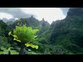 Environmental Conservation and Management Concepts