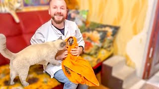 видео