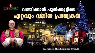 വത്തിക്കാൻ പുൽക്കൂട്ടിലെ  ഏറ്റവും വലിയ പ്രത്യേകത| Fr. Prince Thekkepuram C.Ss.R.|#christmas #vatican