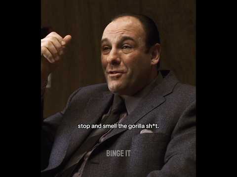 Tony loves going to a zoo #thesopranos