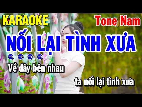 Karaoke Nối Lại Tình Xưa Tone Nam Fm | Nhạc Sống Cha Cha Dễ Hát 2023 | Karaoke Thanh Hải