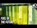 Algae Biofuel Production Challenges and Benefits