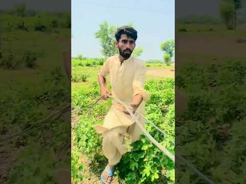 Must watch new special comedy wait for end 😆🤣