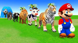 Long Slide Game With Cow Elephant Gorilla Hippopotamus Tiger 3d Animal Game Funny 3d Animals\\Video