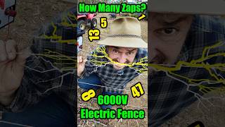 6000 Volts of Shock: Zapped 15 Times. Does it Hurt?