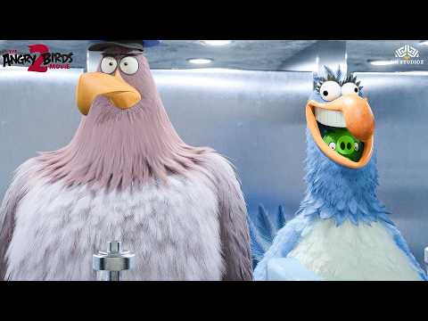 Angry Birds & Pigs Sneak Into Eagle Island! 🏝️🐦🐷 | Angry Birds 2 | Funny Scene