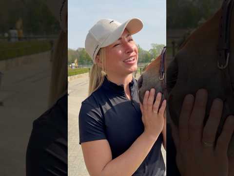 Pferdehofliebe - Mit oder ohne Hocker? ๐ #pferdehofliebe #equestrian #shorts #fyp #pferde #viral
