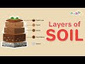 Soil Horizons and Measurement Concepts