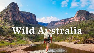 Peaceful Wild Camp in an Ancient Sandstone Canyon