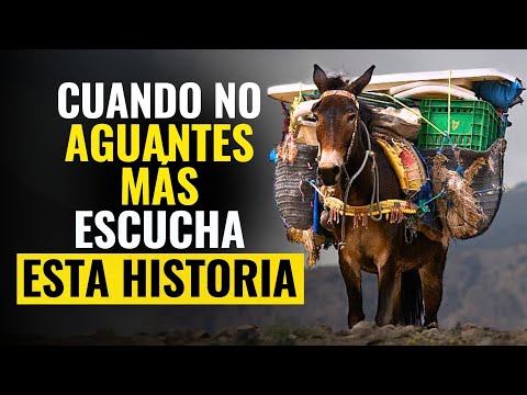 Historia de un Burro Maltratado que cambiará para siempre tu vida – Bob Proctor