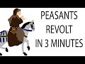 Peasant Rebellion Outcomes and Reactions
