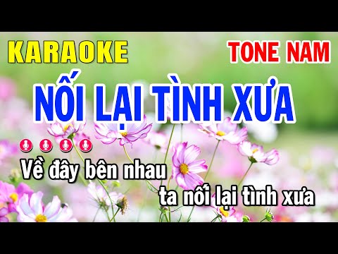 Karaoke Nối Lại Tình Xưa Tone Nam ( Cha Cha Cha )  Huỳnh Anh