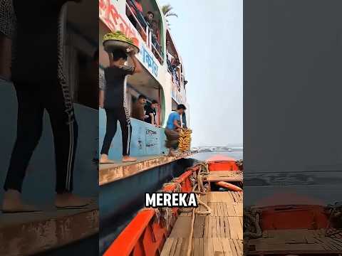AKSI PEROMPAK DI KAPAL BESAR ⁉️ #videoviral #faktamenarik #faktaunik
