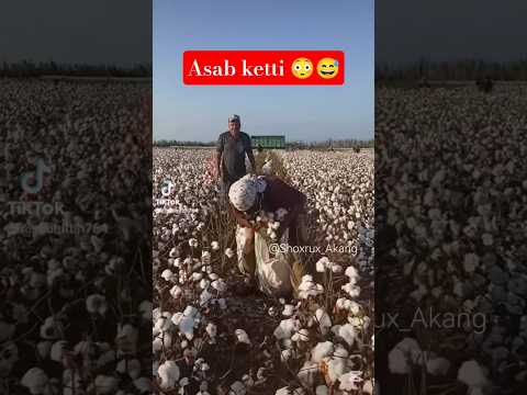 ‼️BU AKAMIZNI ASABI CHATOQ EKAN KU JAXIL USTIDA NIMALAR QILMAYDI BU AKAMIZ😅‼️