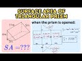 Surface Area of Triangular Prisms