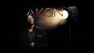 Akon - Never Really Mattered (Preview)