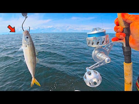 Fishing a LIVE! CIGAR MINNOW 80' DEEP for my LUNCH! [Catch, Clean, Cook]