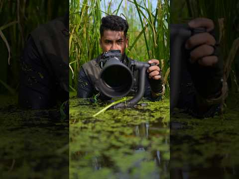 Childhoods is best ???. #nikonz8 #birds #wildlifephotography #nikon #wildlife #indianbirds #wild