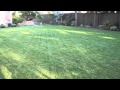 Landscaping a Big Backyard