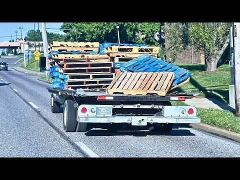 Idiots In Cars 339