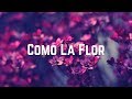 Comprensión de la Canción