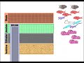 Geological Principles and Rock Layers