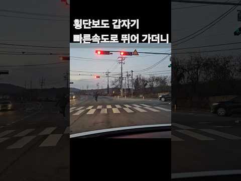 횡단보도에서 갑자기 빠른 속도로 뛰어가더니 결국 후진하라오~