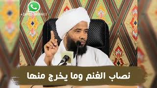 نصاب الغنم وما يخرج منها .. د. عبدالحي يوسف