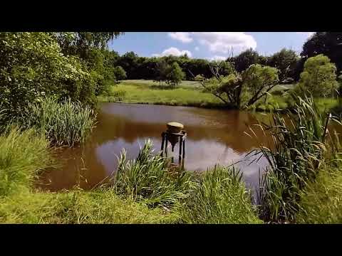 KTO UMIE TĘSKNIĆ / COVER - Gracjan Roztocki