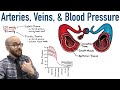Circulatory System Concepts Assessment