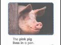 Understanding Text Features: PIGS or CAPTION