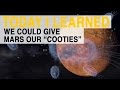 Exploration and Life on Mars