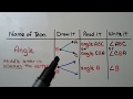 Exploring Lines, Rays, and Angles in 4th Grade Math