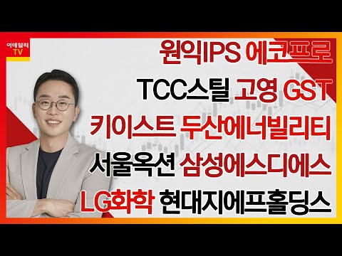 원익IPS, 에코프로, TCC스틸, 두산에너빌리티, 키이스트, 고영, GST, 서울옥션, 삼성에스디에스, LG화학, 현대지에프홀딩스_김현구의 주식 코치 1부 (20250222)