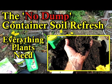 5 Tips to Add Every Element & Amendment Container Soil Needs (Do This Now & Just Plant Come Spring!)