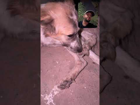 Antar surgery in one hour 😔