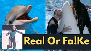 डल्फिनले खाएकै हो त- यस्तो छ वास्तविकता Fact Checked on Jessica Radcliffe and Dolphin,Facts Revealed