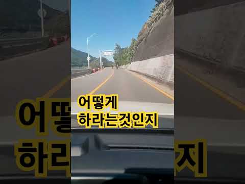 도로에서 자전거 만나면 #조회수많은영상