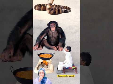 SERU❕MASAK KARI PILIH YANG HALAL SAJA😇