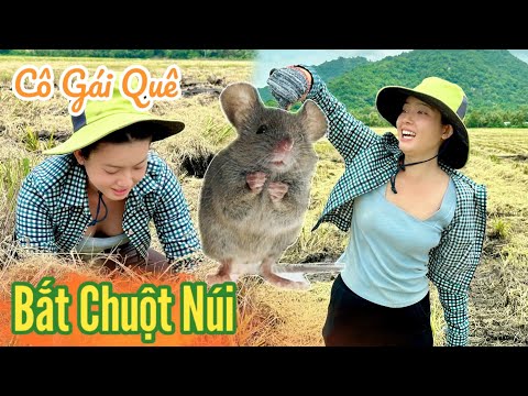 Cô Gái Quê ✅ Lên Núi Dài Bắt Chuột Đồng Con Nào Cũng Ú Nu