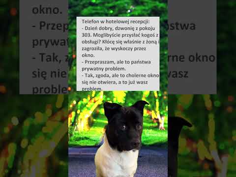 Kiedy prywatny problem staje się służbowym! #shorts #memes #memy #funny