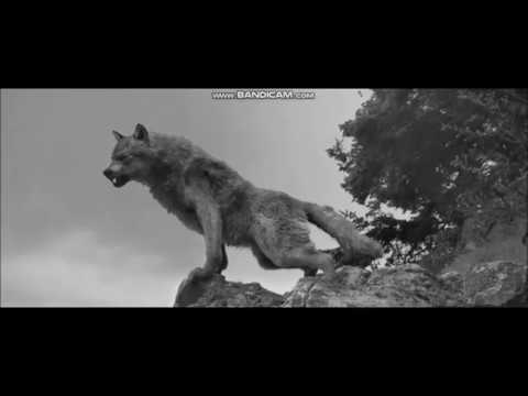 Twilight wolves - Die for you (Starset)