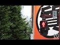 Pedestrian Signal Sounds in Japan