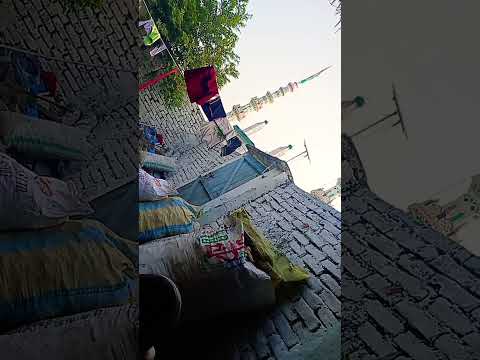 short feed #short video #viral video# trending short #motivation