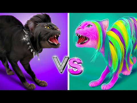 RICH CAT VS BROKE CAT | Types of Cats and Cute Hacks for Pet Lovers