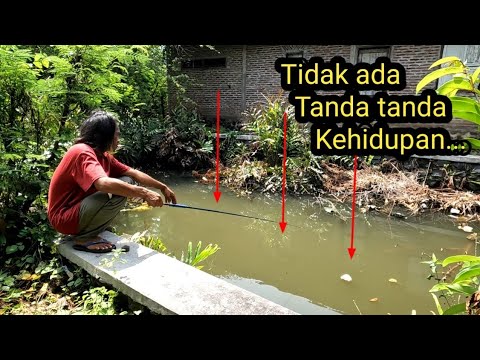 Ediann!! Gak pernah di pancing orang,,ini yg terjadi ketika umpan di turunkan
