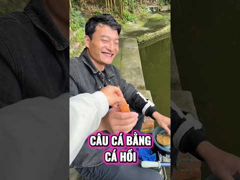 Câu cá bằng cá hồi #shorts #funny