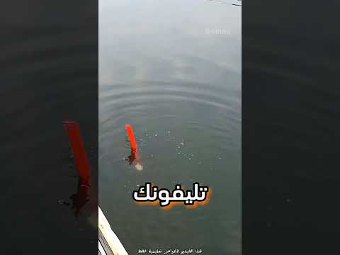 وقع هاتفه في الماء بالخطأ؟!
