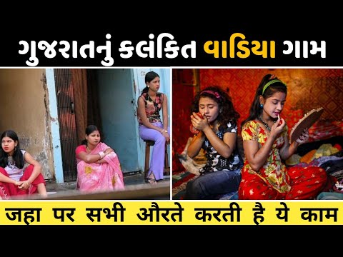 Gujarat Nu Ek Evu Gaam | વાડિયા ગામ ની હકીકત જાણો આ વિડીયો માં | Part 1