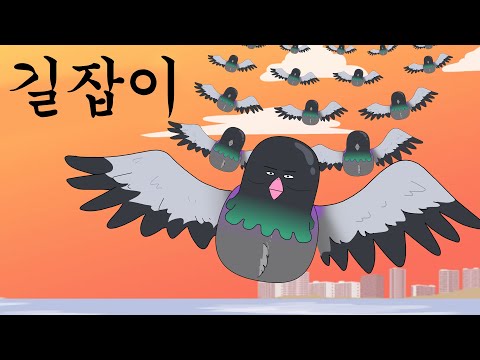 길잡이 [비둘기라서 다행이야]